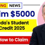 Canada’s Student Tax Credits 2025